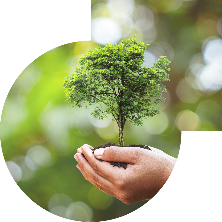 关怀人类、文化、环境与社会